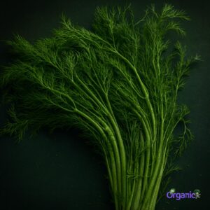 Organic Herbs - Dill (25g) Australia