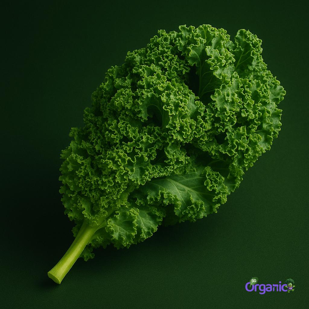 Organic Salad - Kale Leaves (100g) Australia